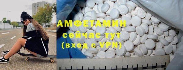 гидра Арсеньев
