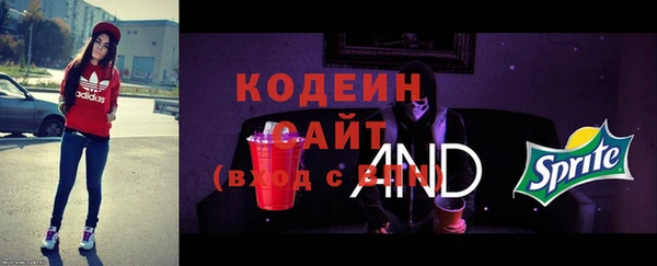 гидра Арсеньев